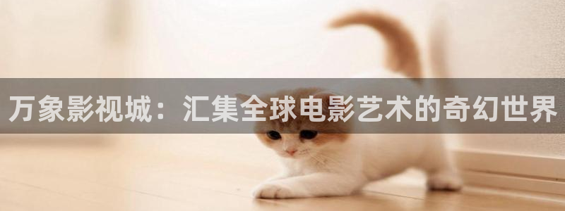 龍澤羅拉在線理論電影觀看