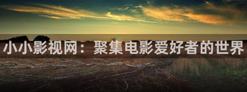 理論在線電影