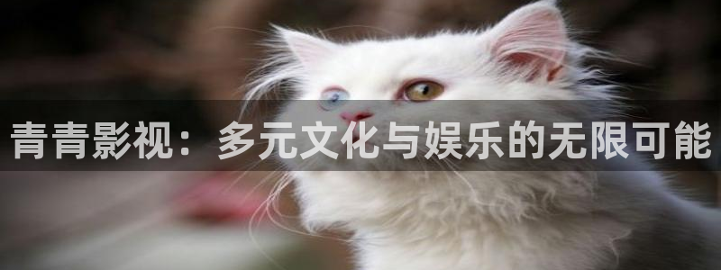 日本理論電影在線看：青青影視：多元文化與娛樂的無限可能